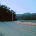 나 금오도 사는데