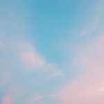 다이어트한다고 3시 이후로 암것도 안 먹었는디