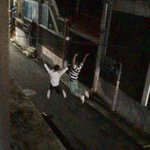 [워너원] 끝나서 슬퍼하고있었는데 ㅠㅡㅠ