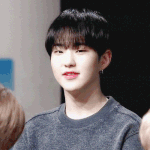 [세븐틴] <b>권순영</b> 이거 노렸다