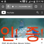 [EXO] 뮤비 스밍 인!증!