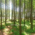 [댓글부탁해] 나 사진찍은거 평가좀 해주라!:)