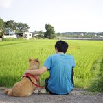 [큰멍멍이] 1년동안 동네 빌라주차장에서 유기견 생활을 했던 ,...