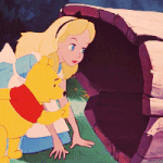 서비스 이용약관