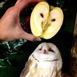 [방탈죄송] 저희집 콩가루집안인가요?