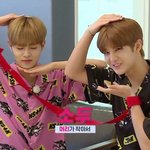 [워너원] 얼굴 씹오질정도로 작다 진짜