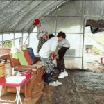 [워너원] <b>셍</b>언이 할아버지한테 입덕<b>각</b>인데...