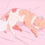 [5키로빠짐] 다이어트하는애들아 이거 꼭 해라