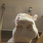 <b>지에스</b>샵 만 원 못 받았덩 애들아