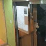 [뉴이스트] ㅅㄷ타팬인데 너무 웃겨서...ㅋㅋㅋ