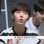 [워너원] 내 기준 렬리티 대유잼 꿀<b>케미</b>