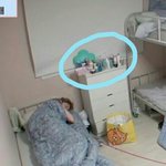[워너원] 아 하성운 개귀여우어 !!!!!!!