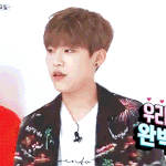 [워너원] 박우진 열어줘 잘추는 이유 뭘까