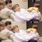 [워너원] 이<b>와중</b>에 댕댕이