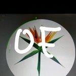 [EXO] 핸드폰에있는사진이나동영상 저장할수있는<b>어플</b> 뭐있냐