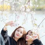 [댓글부탁해] 이거머리색 알려줘ㅠㅠㅠ