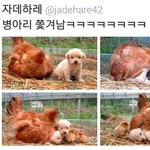 [댓글부탁해] 더데이즈 배송어떰?