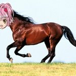 [19] 원피스입었는데 ㄱㅅ이 없어서 ㅅㅂ