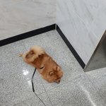 [재범이] 데일리 <b>산책</b>