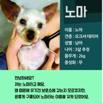 2키로의 착한 요키왕자 [<b>노마</b>]의 가족을 찾습니다