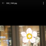 40만원 돌 <b>스냅</b>촬영좀 봐주세요 ......