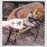 [EXO] <b>힙합</b>고라니들 한번잡숴봐
