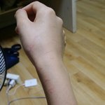고양이가 내 팔조카 뭄ㅅㅂ(극혐 <b>사진o</b>