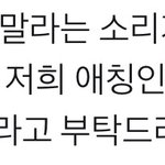 <b>틴탑</b> 팬들 왜이럼?