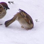 [EXO] <b>남자</b>친구사귀고싶다고 지랄했던 <b>과거</b>의나