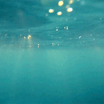 [워너원] 워너블이 꼭 보길 바라는 글