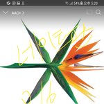 [EXO] 우리집 개 준면이 좋아하나;