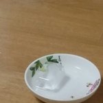 [댓글부탁해] <b>아기강아지</b>가 더워서 그런데