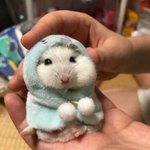 이 사진 졸귀 아니냥ㅋㅋㅋ