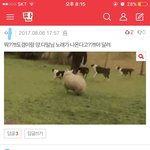 [세븐틴] +)사진 <b>수정</b> 도겸이 베플 투표
