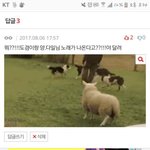 [세븐틴] <b>오오</b> 이거베플