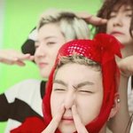 [강동호] 솜뭉치 <b>동호</b>