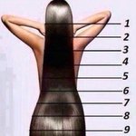 머리 기르는 <b>속도</b>