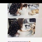 효리네 <b>민박</b>보는 애들있어?