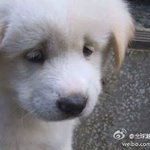 [19] 솔직히 얘들아 쉬할때