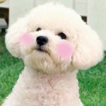 [EXO] 뮤<b>비스</b>밍한애들 수고했음
