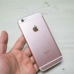 [<b>찬반</b>부탁해] 아이폰 로즈골드 vs 실버