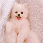쉬운유<b>씨씨</b>편집해줄사람 사례0
