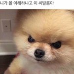 [댓글부탁해] 굉장히고민되는데 추반좀
