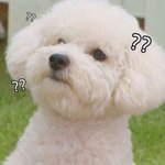 [EXO] 씻기 <b>졸라</b> 긔ㆍ찮음