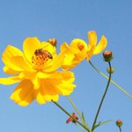 오늘의 성경<b>말씀</b>, 성경읽기, 시편 111편 하나님을 경외하는 삶