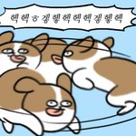 <b>갈색</b>으로 염색한 기념으로