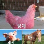 [ㄱㄱ드루와] 우리나라 대중교통 <b>모순</b>인게