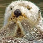 [10대의성] 반바지 <b>엉밑살</b> ㅁㅊ ㅋㅋㅋㅋㅋ