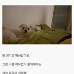 [재범이] <b>데일리</b> 재범이