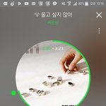 [세븐틴] <b>캐럿들</b> 들어와봐!!